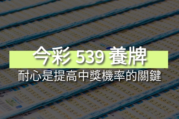 今彩539養牌攻略:耐心是提高中獎機率的關鍵